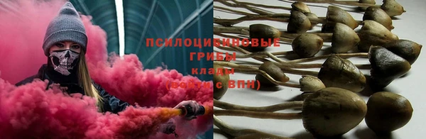 марки nbome Алзамай