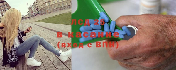 spice Новодвинск