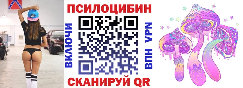 как найти Нововоронеж Псилоцибиновые грибы Magic Shrooms